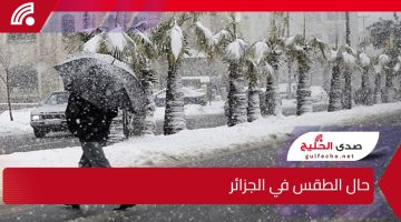 تساقط الثلوج.. حال الطقس في الجزائر وأمطار رعدية وثلوج كثيفة تعيد الأجواء الشتوية بقوة