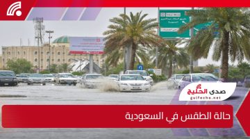 حالة الطقس في السعودية: توقعات الطقس اليوم الإربعاء 15 يناير 2025 ودرجات الحرارة في مختلف المدن السعودية