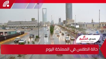 أمطار رعدية والسيول والرياح المحملة بالغبار والأتربة.. حالة الطقس في المملكة اليوم السبت 4 يناير 2025 وفقا للمركز الوطني للأرصاد الجوية