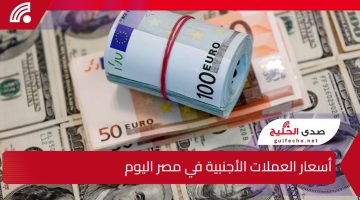 تغيرات مفاجئة في الأسواق.. أسعار العملات الأجنبية في مصر اليوم الخميس 9 يناير 2025 في سوق العملات المحلية والعالمية