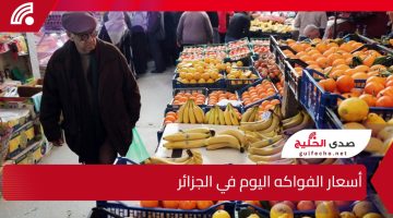 شحال ولات.. أسعار الفواكه اليوم في أسواق الولاية الجزائرية؟ المفاجآت ما توقفش