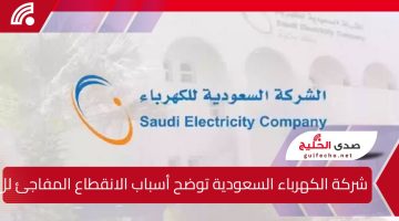 شركة الكهرباء السعودية توضح أسباب الانقطاع المفاجئ للتيار الكهربائي بالمناطق الجنوبية وتصدر بيانا هاما للمتضررين