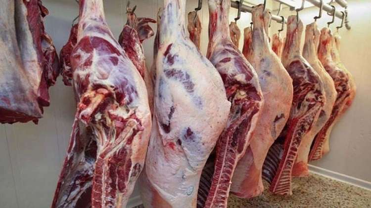 الكيلو بـ 250 جنيها فقط.. التموين تزف بشرى سارة للمواطنين بشأن أسعار اللحوم 5 الكيلو بـ 250 جنيها فقط.. التموين تزف بشرى سارة للمواطنين بشأن أسعار اللحوم