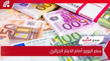 هبوط مفاجئ أم ارتفاع قياسي؟ تعرف على سعر اليورو أمام الدينار الجزائري اليوم والتوقعات القادمة في السوق الرسمية والسوداء