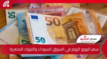 سعر اليورو اليوم في السوق السوداء والبنوك المصرية الأحد 19 يناير 2025 وفقًا لآخر تحديثات وتغيرات التعاملات المالية