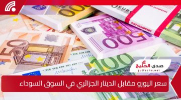 أزمة اليورو تتصاعد في الجزائر.. سعر اليورو مقابل الدينار الجزائري في السوق السوداء واستمرار أزمة العملة ويسبب حيرة في سكوار الجزائر