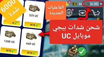 مزايا حصرية100%.. اصدار التحديث الجديد للعبة ببجي موبايل 2025 وشحن الشدات من الموقع الرسمي
