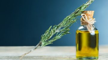 بيزود التركيز ويعالج التوتر .. اكتشف فوائد زيت إكليل الجبل