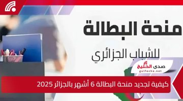 كيفية تجديد منحة البطالة 6 أشهر بالجزائر 2025 من الرابط الرسمي للوزارة.. “قدم الحين بسهولة”