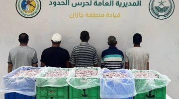 جازان: ضبط 5 مقيمين مخالفين للائحة الأمن والسلامة لمزاولي الأنشطة البحرية – أخبار السعودية
