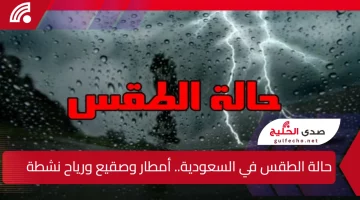 حالة الطقس في السعودية.. أمطار وصقيع ورياح نشطة والأرصاد تحذر عدة مناطق