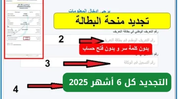 “ليستمر الدعم” رابط تجديد منحة البطالة كل 6 أشهر 2025 الجزائر anem.dz