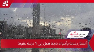 أمطار رعدية وأجواء باردة تصل إلى 1 درجة مئوية.. حالة الطقس اليوم في السعودية