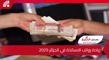 وزارة المالية الجزائرية.. توضح زيادة رواتب الاساتذة في الجزائر 2025 وقيمة الزيادة الجديدة