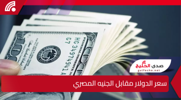 مع استمرار الارتفاع.. الدولار يواصل صعوده مقابل الجنيه المصري وسط غموض اقتصادي