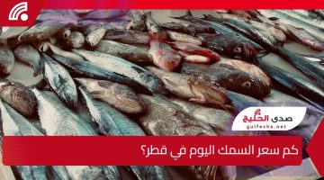 سمك الزبيدي بكم..كم سعر السمك اليوم في قطر؟ السبت 11 يناير 2025