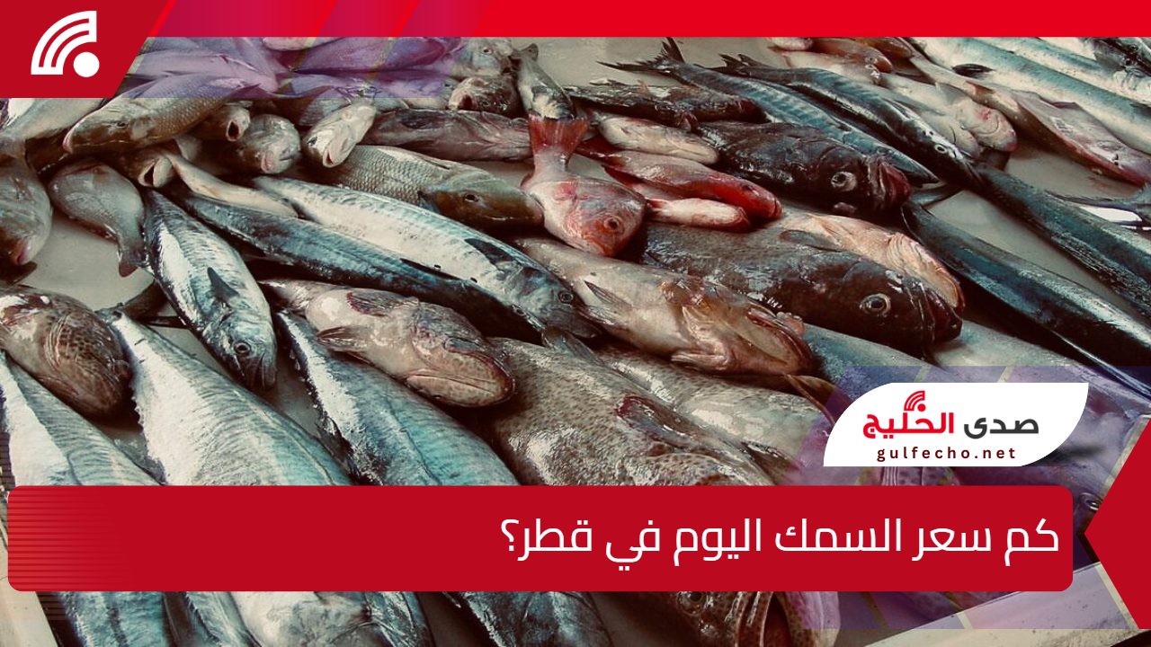 سمك الزبيدي بكم..كم سعر السمك اليوم في قطر؟ السبت 11 يناير 2025 5 سمك الزبيدي بكم..كم سعر السمك اليوم في قطر؟ السبت 11 يناير 2025