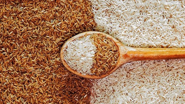 "انخفــاض" سعر طن الأرز الشعير اليوم 22 يناير في الأسواق 5 “انخفــاض” سعر طن الأرز الشعير اليوم 22 يناير في الأسواق