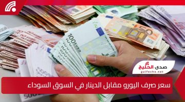 ارتفاع مفاجئ يهز الأسواق.. سعر صرف اليورو مقابل الدينار في السوق السوداء يسجل مستويات قياسية جديدة اليوم