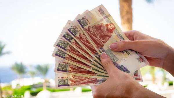 التأمينات" تحسم الجدل بشأن موعد زيادة المعاشات لـ 11.5 مليون مواطن "تفاصيل 5 التأمينات” تحسم الجدل بشأن موعد زيادة المعاشات لـ 11.5 مليون مواطن “تفاصيل