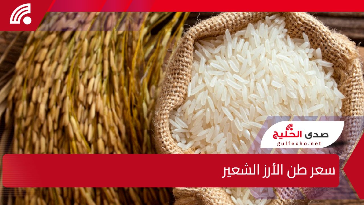 ارتفاع مفاجئ في سعر طن الأرز الشعير.. تعرف على أحدث الأسعار في الأسواق المحلية