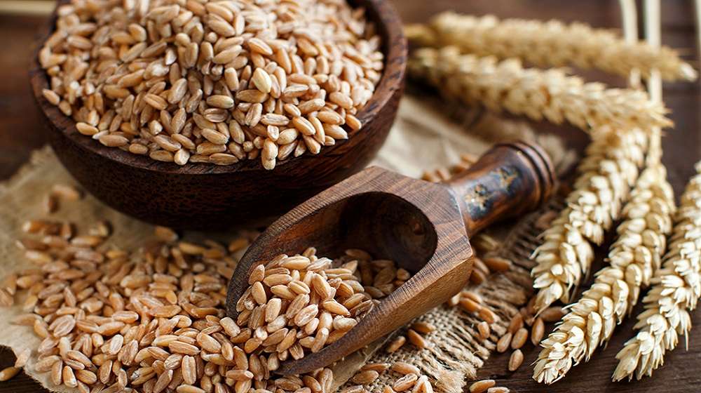 سعر طن الأرز الشعير اليوم الإثنين 27 يناير 2025 في الأسواق.. عريض ورفيع الحبة بكام؟ 5 سعر طن الأرز الشعير اليوم الإثنين 27 يناير 2025 في الأسواق.. عريض ورفيع الحبة بكام؟
