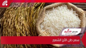 سعر طن الأرز الشعير يشهد ارتفاعًا غير مسبوق.. هل سيؤثر ذلك على أسعار الأرز في الأسواق المحلية