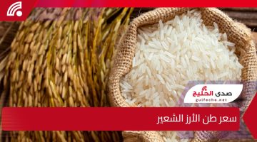 هل ستستمر الأسعار في الارتفاع؟ تعرف على سعر طن الأرز الشعير اليوم وتأثيره على الأسواق المحلية