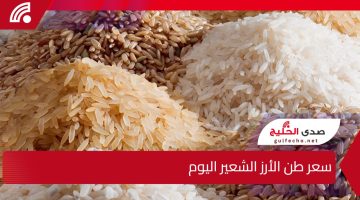 استقرار ملحوظ في سعر طن الأرز الشعير في الأسواق المصرية.. هل يؤثر على أسعار المستهلك؟