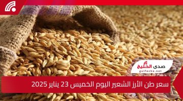 كم سعره اليوم؟ … سعر طن الأرز الشعير اليوم الخميس 23 يناير 2025