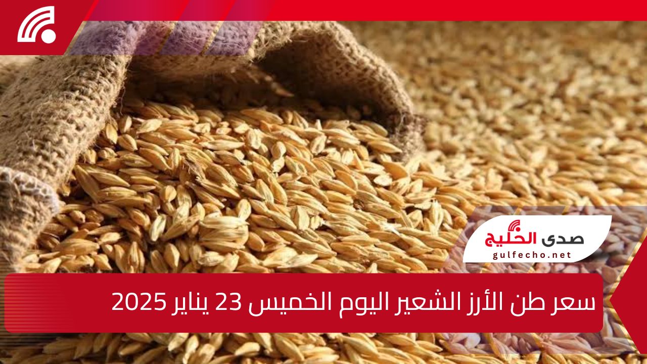 كم سعره اليوم؟ … سعر طن الأرز الشعير اليوم الخميس 23 يناير 2025 5 كم سعره اليوم؟ … سعر طن الأرز الشعير اليوم الخميس 23 يناير 2025