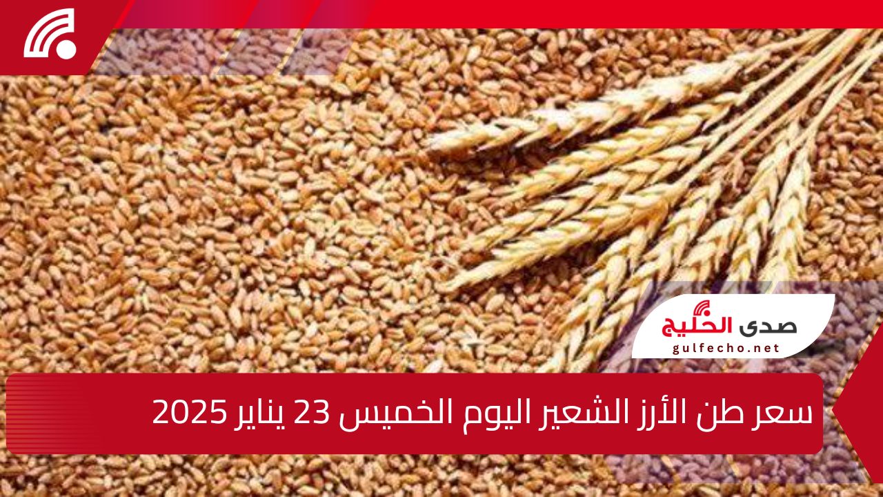 كم سعره اليوم؟ … سعر طن الأرز الشعير اليوم الخميس 23 يناير 2025 6 سعر طن الأرز الشعير اليوم الخميس 23 يناير 2025