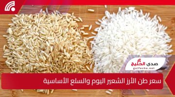إلحقي خزني ياست البيت.. سعر طن الأرز الشعير اليوم والسلع الأساسية الإثنين 13 يناير 2025