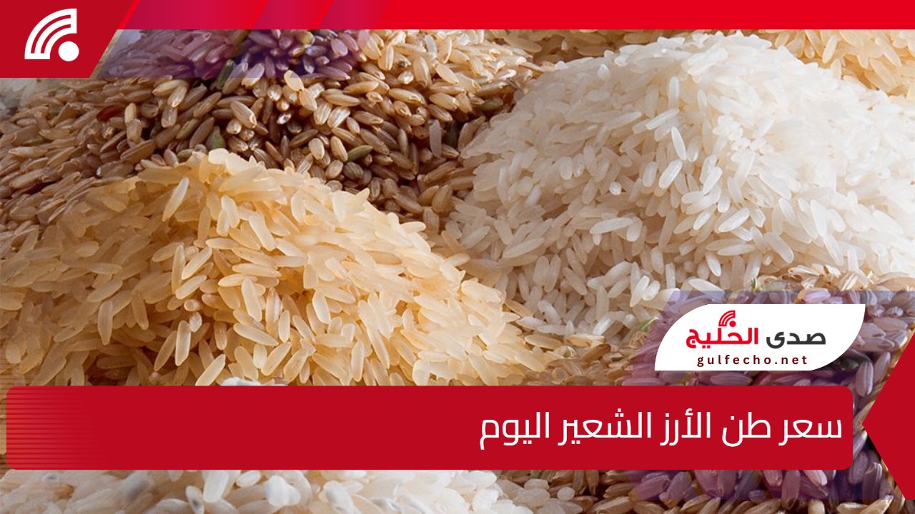استقرار ملحوظ في سعر طن الأرز الشعير في الأسواق المصرية.. هل يؤثر على أسعار المستهلك؟ 5 استقرار ملحوظ في سعر طن الأرز الشعير في الأسواق المصرية.. هل يؤثر على أسعار المستهلك؟