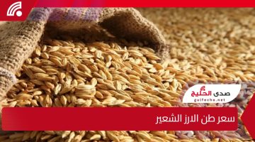 تراجع طفيف في سعر طن الارز الشعير اليوم 30 يناير 2025 بعد موجة ارتفاع سابقة وسط توقعات باستقرار الأسعار في الأسواق المصرية
