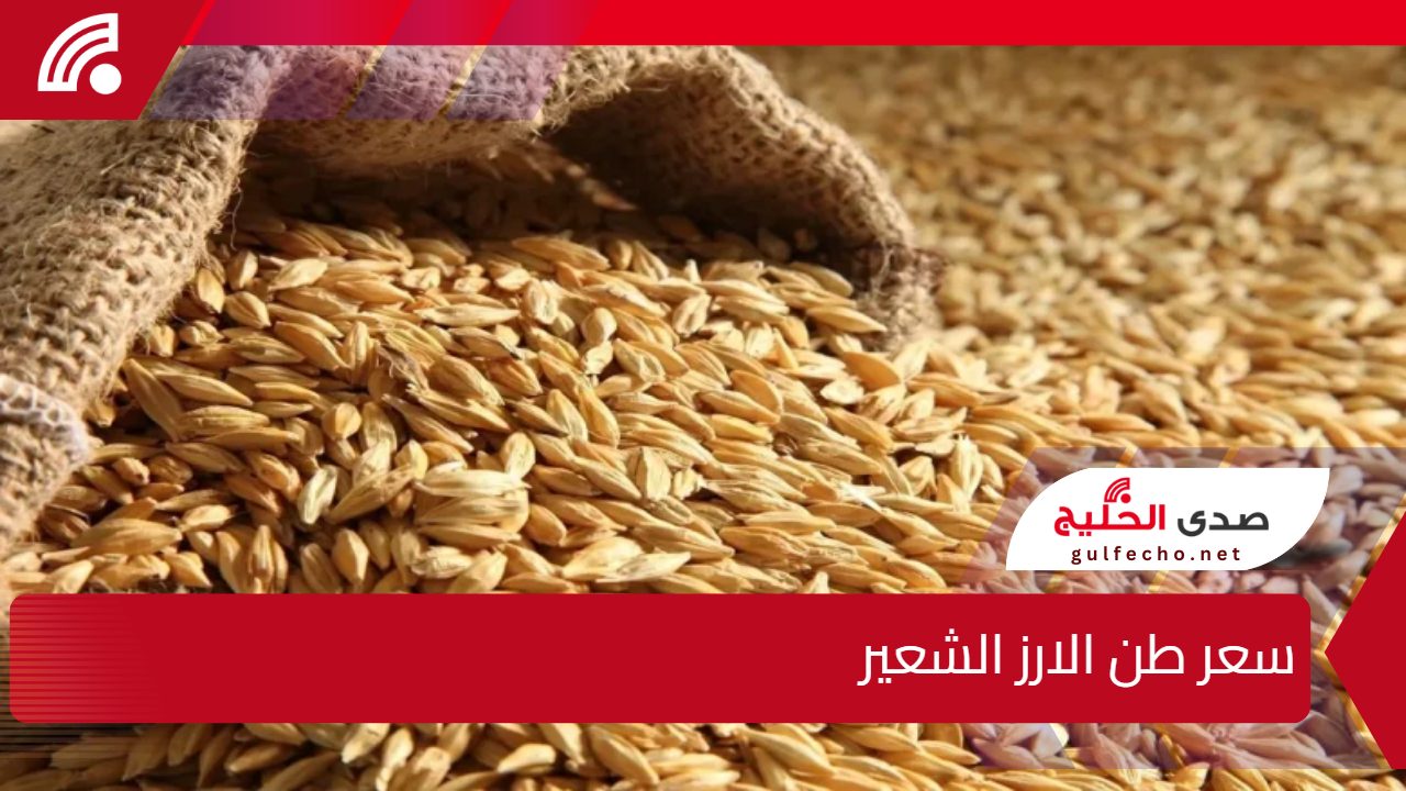 تراجع طفيف في سعر طن الارز الشعير اليوم 30 يناير 2025 بعد موجة ارتفاع سابقة وسط توقعات باستقرار الأسعار في الأسواق المصرية 5 تراجع طفيف في سعر طن الارز الشعير اليوم 30 يناير 2025 بعد موجة ارتفاع سابقة وسط توقعات باستقرار الأسعار في الأسواق المصرية