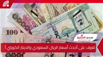 تعرف على أحدث أسعار الريال السعودي والدينار الكويتي أمام الجنيه المصري اليوم