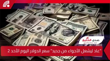“عاد ليشعل الأجواء من جديد” سعر الدولار اليوم الأحد 26 يناير 2025 في السوق السوداء والبنوك المصرية مقابل الجنيه
