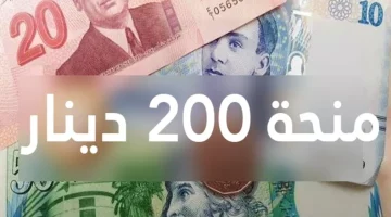 “سجل واصرف راتبك”.. التسجيل في منحة العائلات المعوزة 2025 بتونس عبر الموقع الرسمي social.gov.tn
