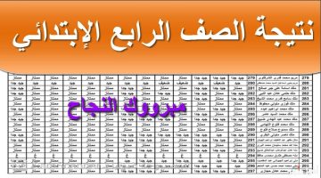 “بوابة التعليم الأساسي” رابط نتيجة الصف الرابع الابتدائي برقم الجلوس 2025 eduserv.cairo.gov.eg