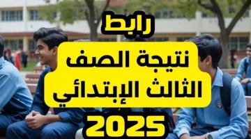 “عاجل” نتيجة ثالثه ابتدائي 2025 الترم الأول عبر بوابة التعليم الأساسي eduserv.cairo.gov.eg