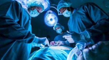 هل تغيّر زراعة الأعضاء عادات وسلوكيات المتلقين؟ – أخبار السعودية
