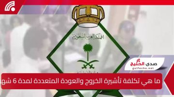 هيئة الجوازات تقدم التفاصيل الرسمية.. ما هي تكلفة تأشيرة الخروج والعودة المتعددة لمدة 6 شهور في السعودية