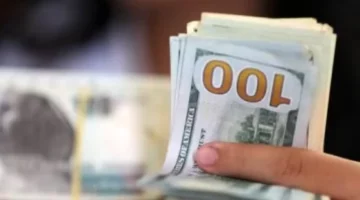 استقرار سعر الدولار أمام الجنيه المصري في البنوك الرئيسية