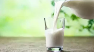 حليب الإبل مقابل حليب الأبقار الفوائد الصحية والتغذوية التي قد تغير رأيك