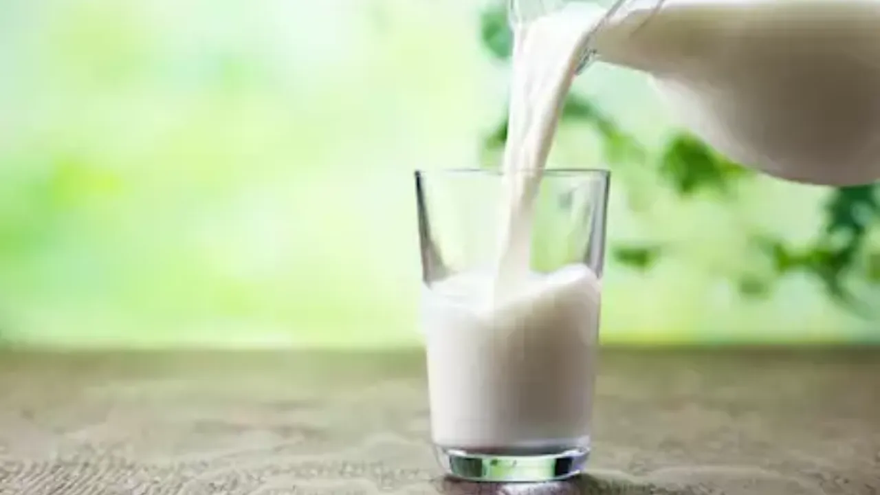 حليب الإبل مقابل حليب الأبقار الفوائد الصحية والتغذوية التي قد تغير رأيك 5 حليب الإبل مقابل حليب الأبقار الفوائد الصحية والتغذوية التي قد تغير رأيك