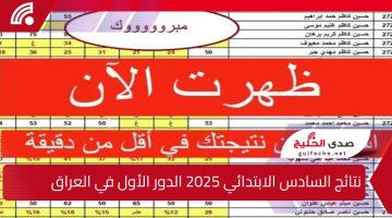 احصل عليها الآن … نتائج السادس الابتدائي 2025 الدور الأول في العراق عبر موقع نتائجنا