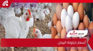 “سعر كرتونة البيض النهاردة 4 فبراير 2025 في مصر .. ياترى وصل كام؟ تعالوا شوفوا الأسعار الجديدة والمفاجآت!”
