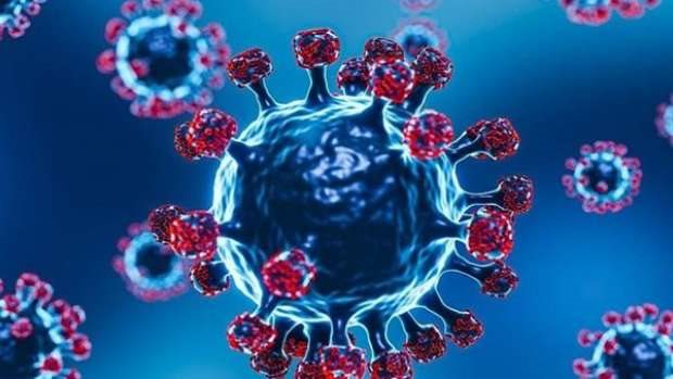 الغذاء والدواء توافق على لقاح الجيل التالي من موديرنا للوقاية من كورونا 5 الغذاء والدواء توافق على لقاح الجيل التالي من موديرنا للوقاية من كورونا