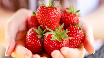 فوائد الفراولة للذكرة – حقيقة أم خرافة؟